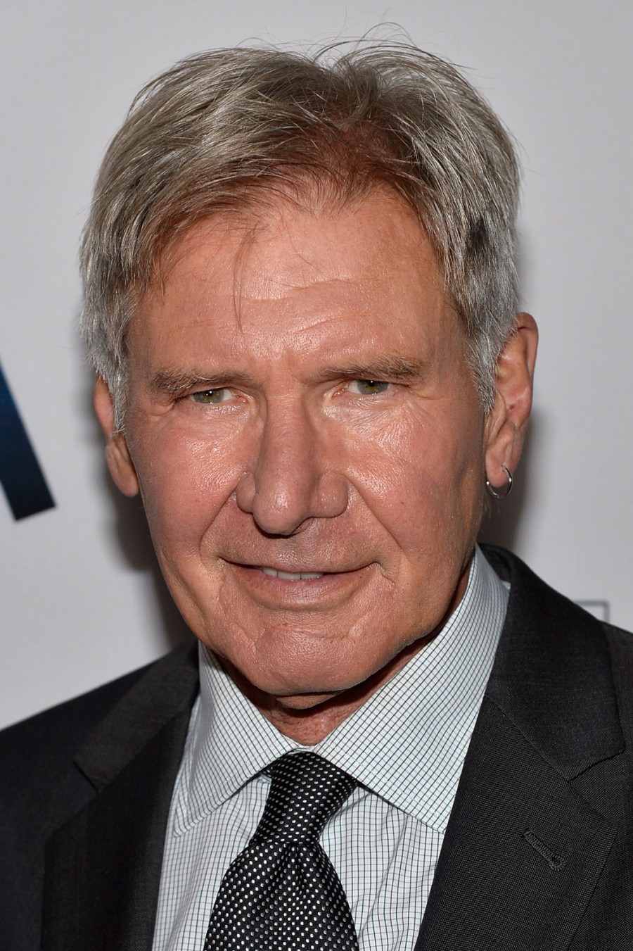 Harrison Ford Cast In Lionsgate's "The Age Of Adaline" LATF USA