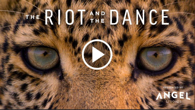 riot and the dance