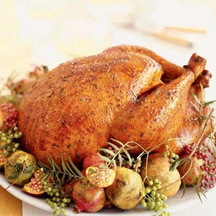 Turkey Turkey