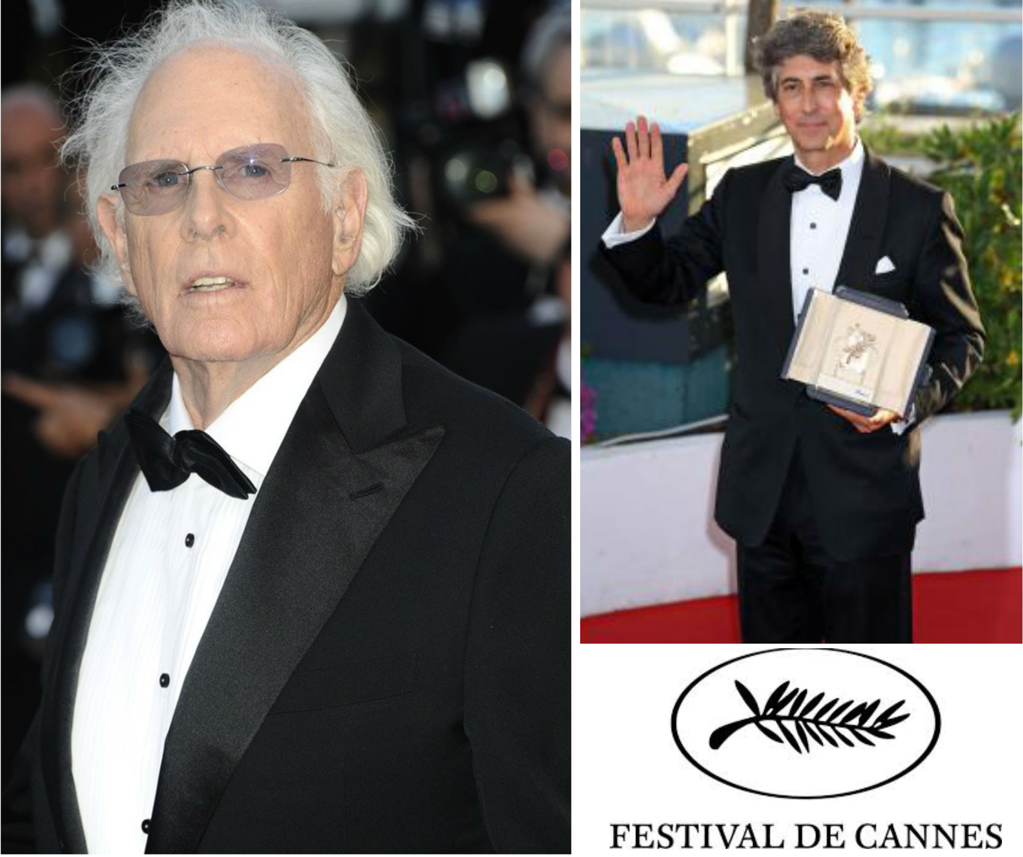 Palme d'or cannes