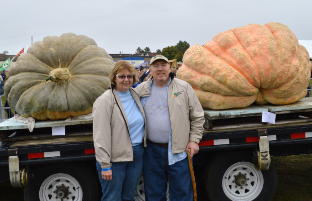 Pumpkin