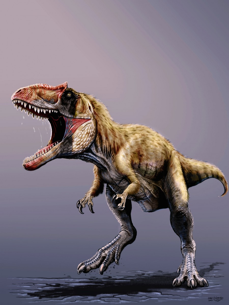t rex type dinosaurs
