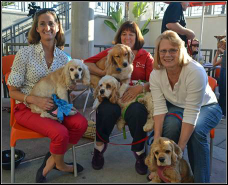 Helen Woodward Animal Center Blue Buffalo Home 4 the holidays