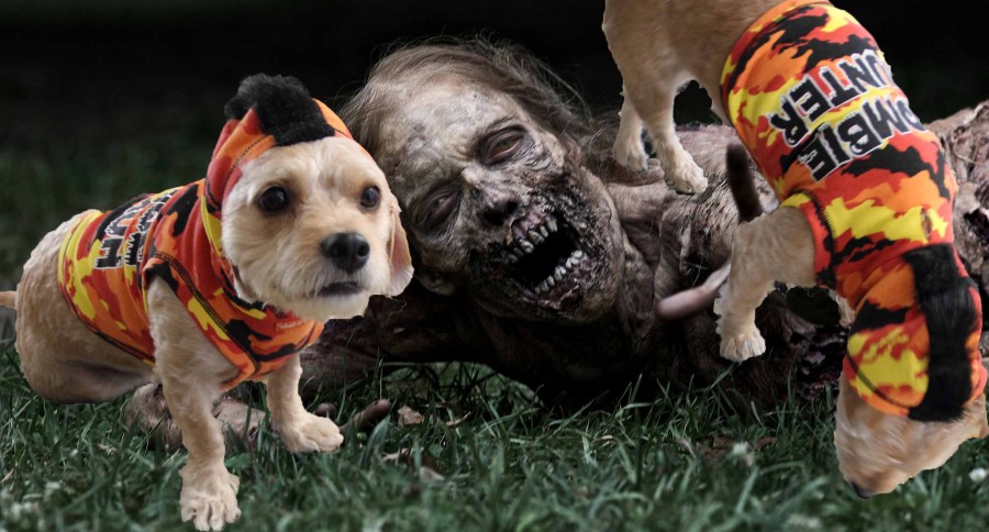 PETCO Halloween zombie costumes - LATF USA
