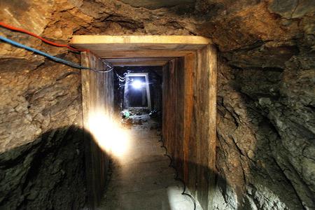 vicente carillo drug tunnels