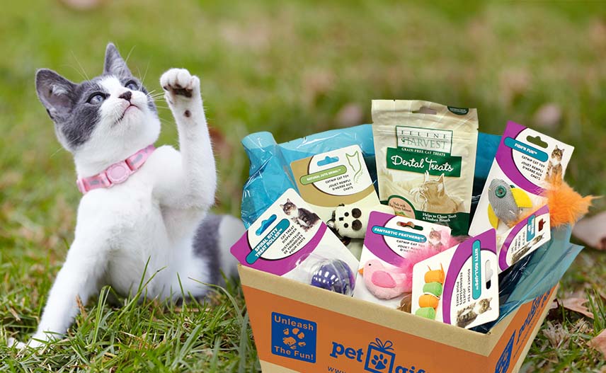 PetGiftBox.com