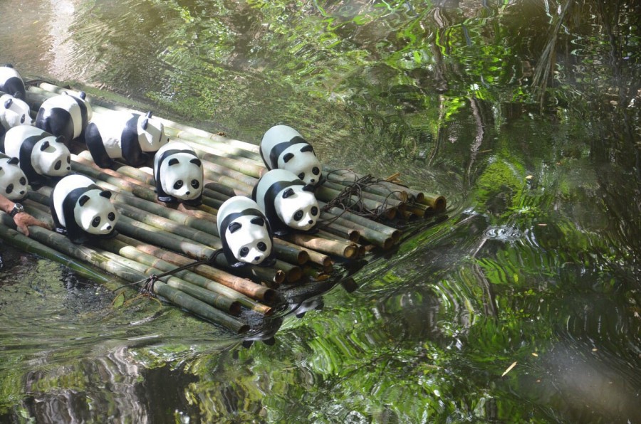 1600 Pandas