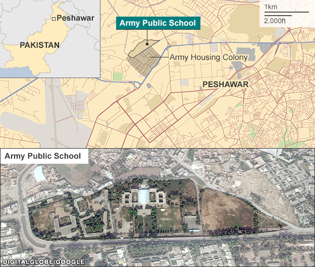 Attack on pakistan school