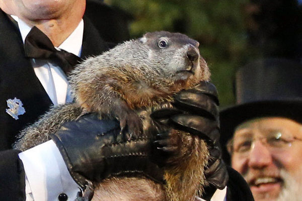 Groundhog Day 2015