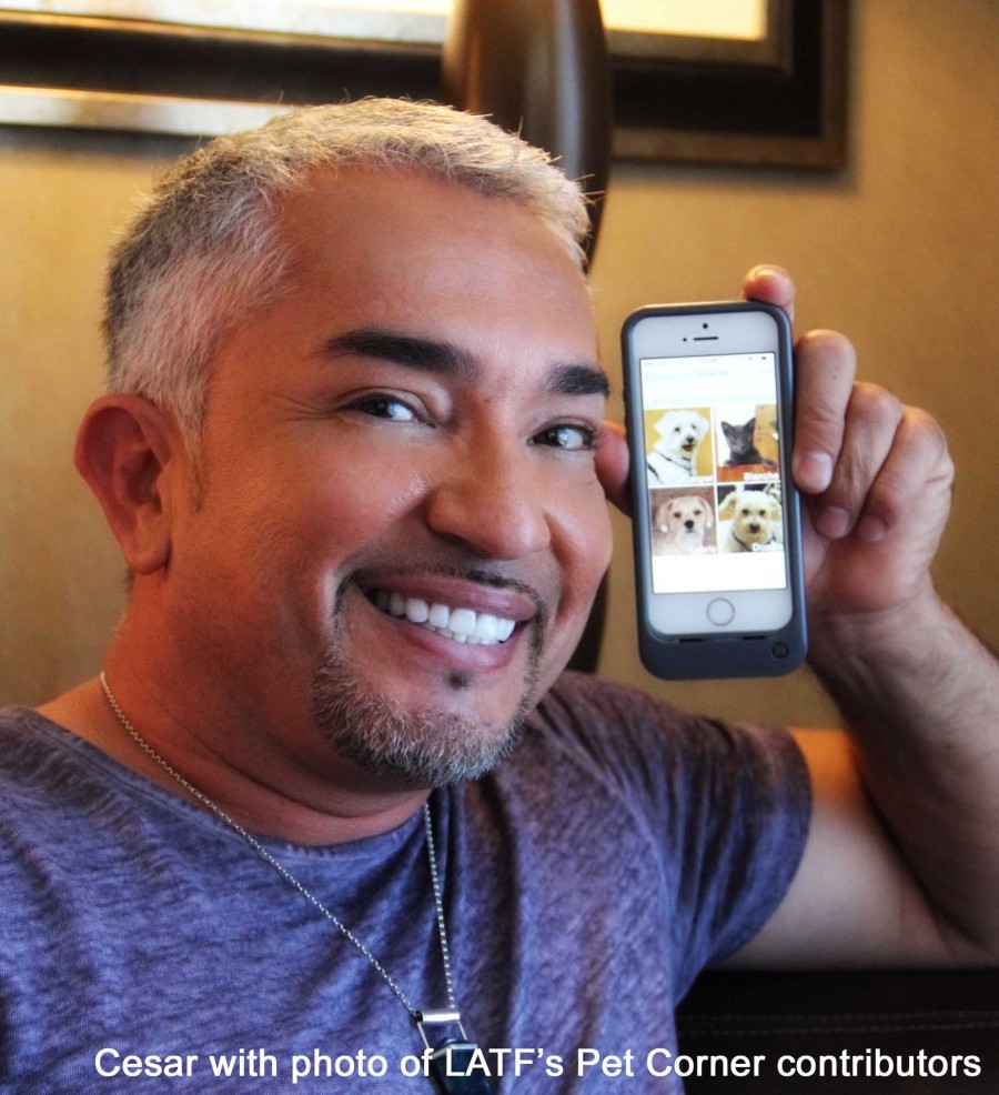 Cesar Millan interview, by Pamela Price - LATF USA