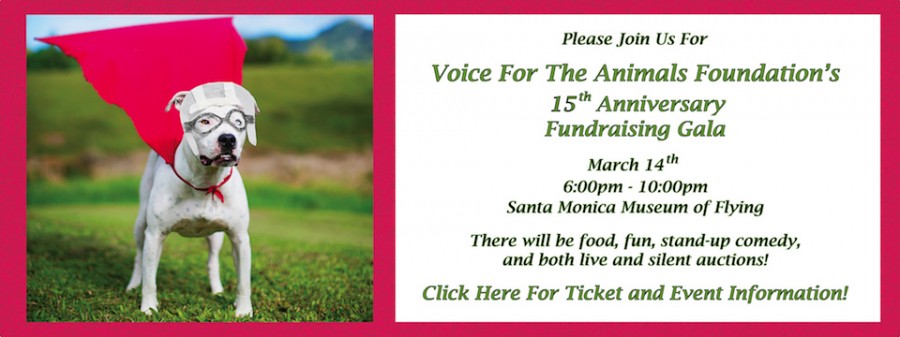 Voice For The Animals Foundation