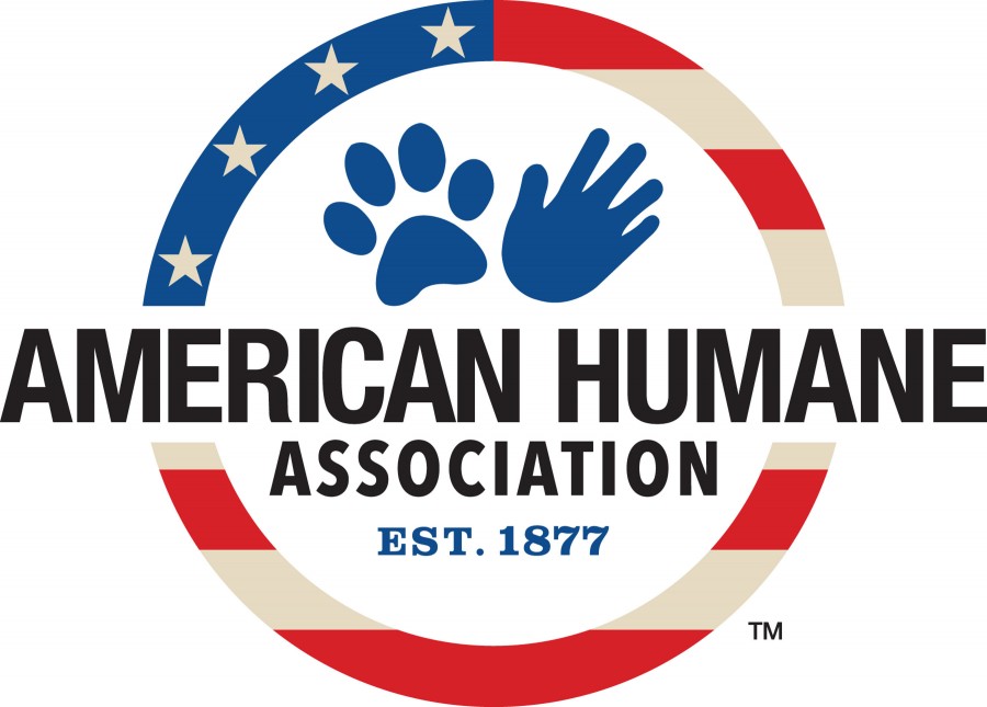American Humane dogs