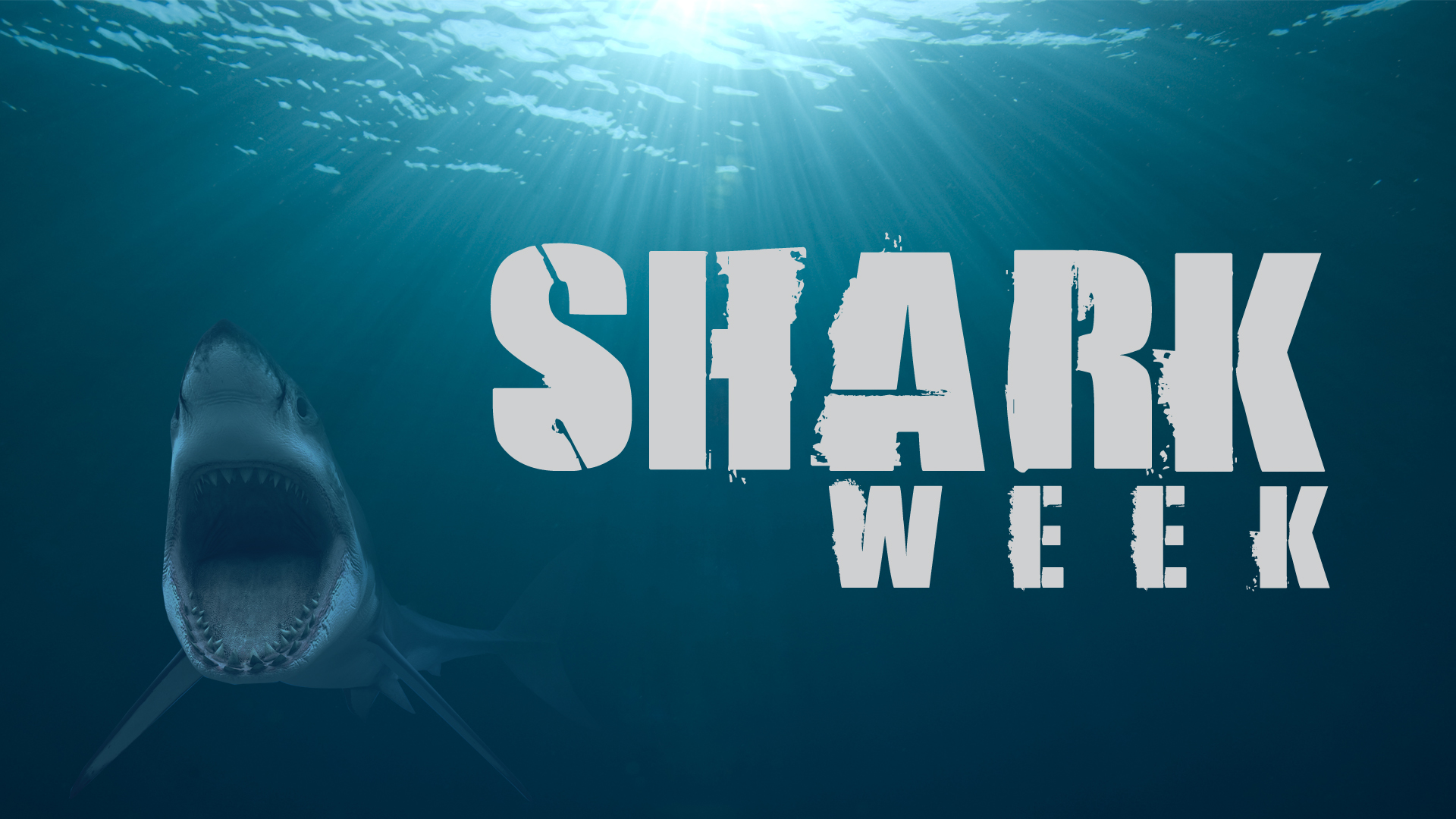 Discovery Channel Takes A Big Bite Out Of Sharkweek Latf Usa