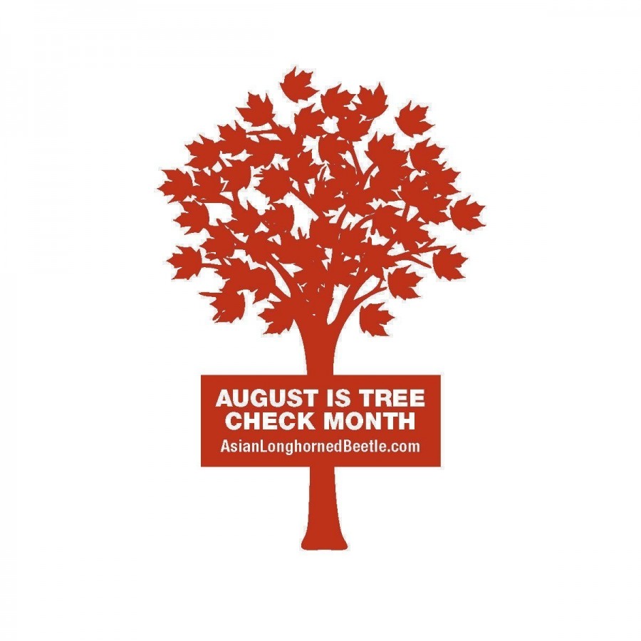 August tree month