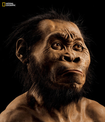 Homo Naledi