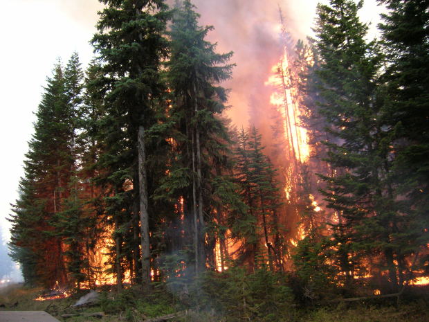 fires california