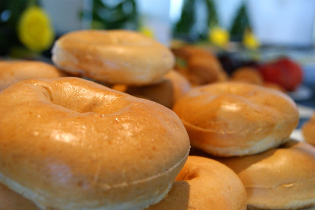 national bagel eating contest