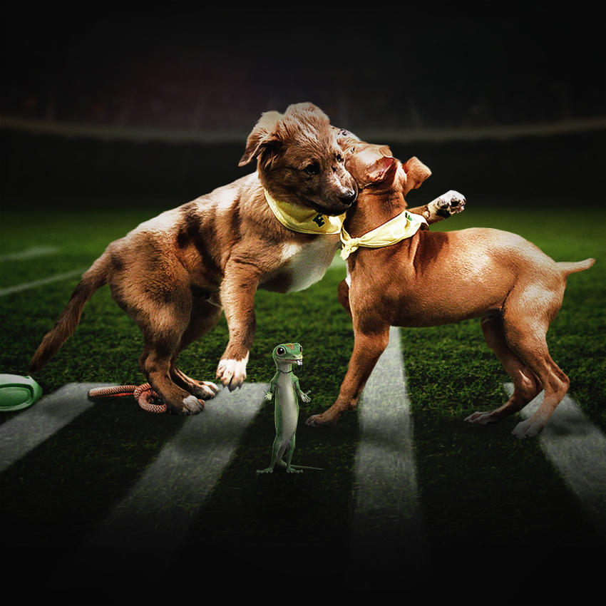 Puppy Bowl 2016 