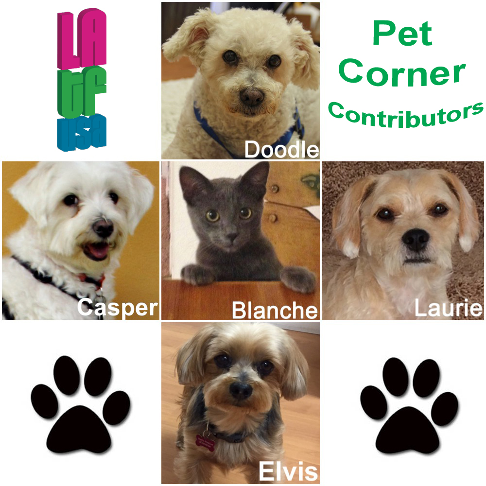 LATF pet corner reporters