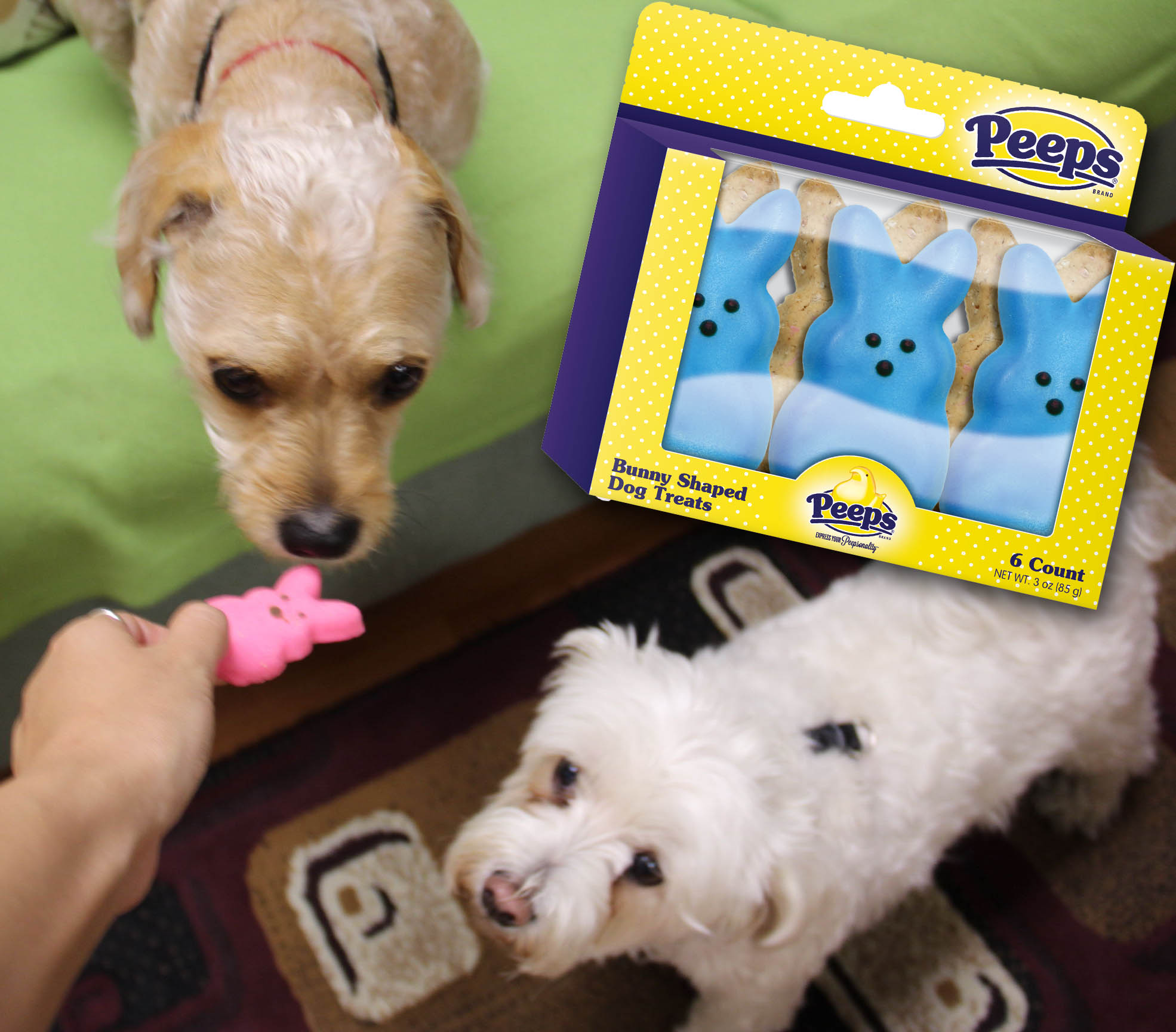 Peeps easter treats for dogs - LATF Pet Corner