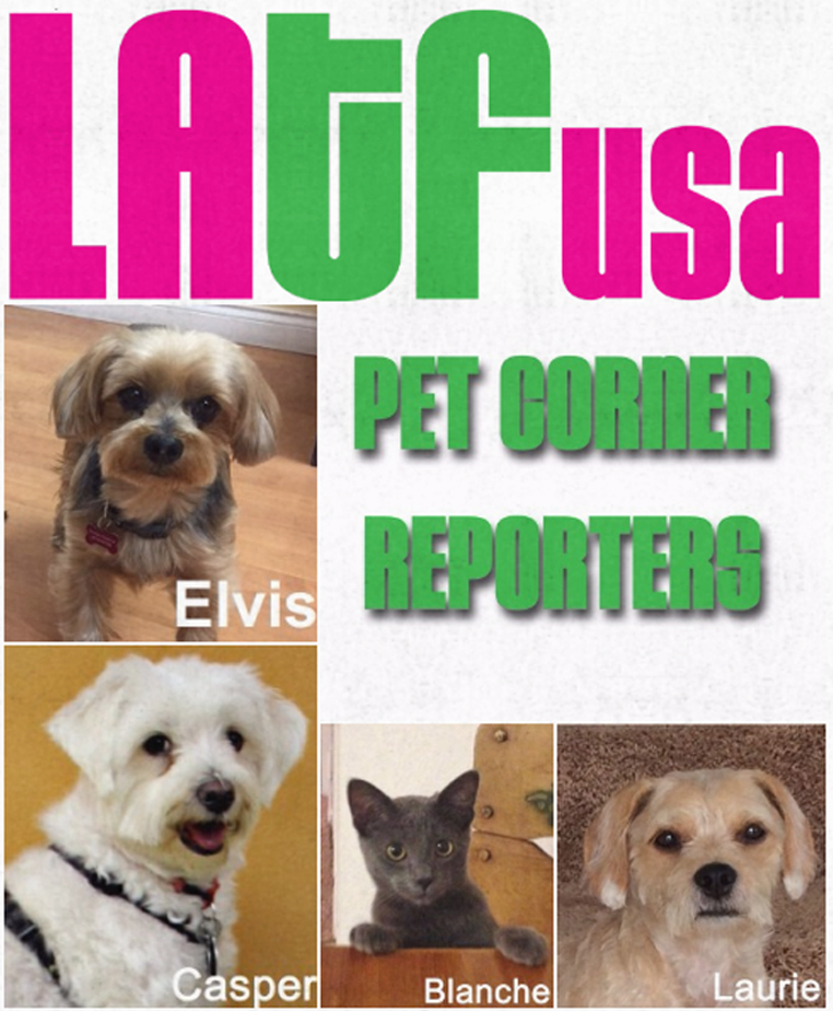 LATF pet corner reporters