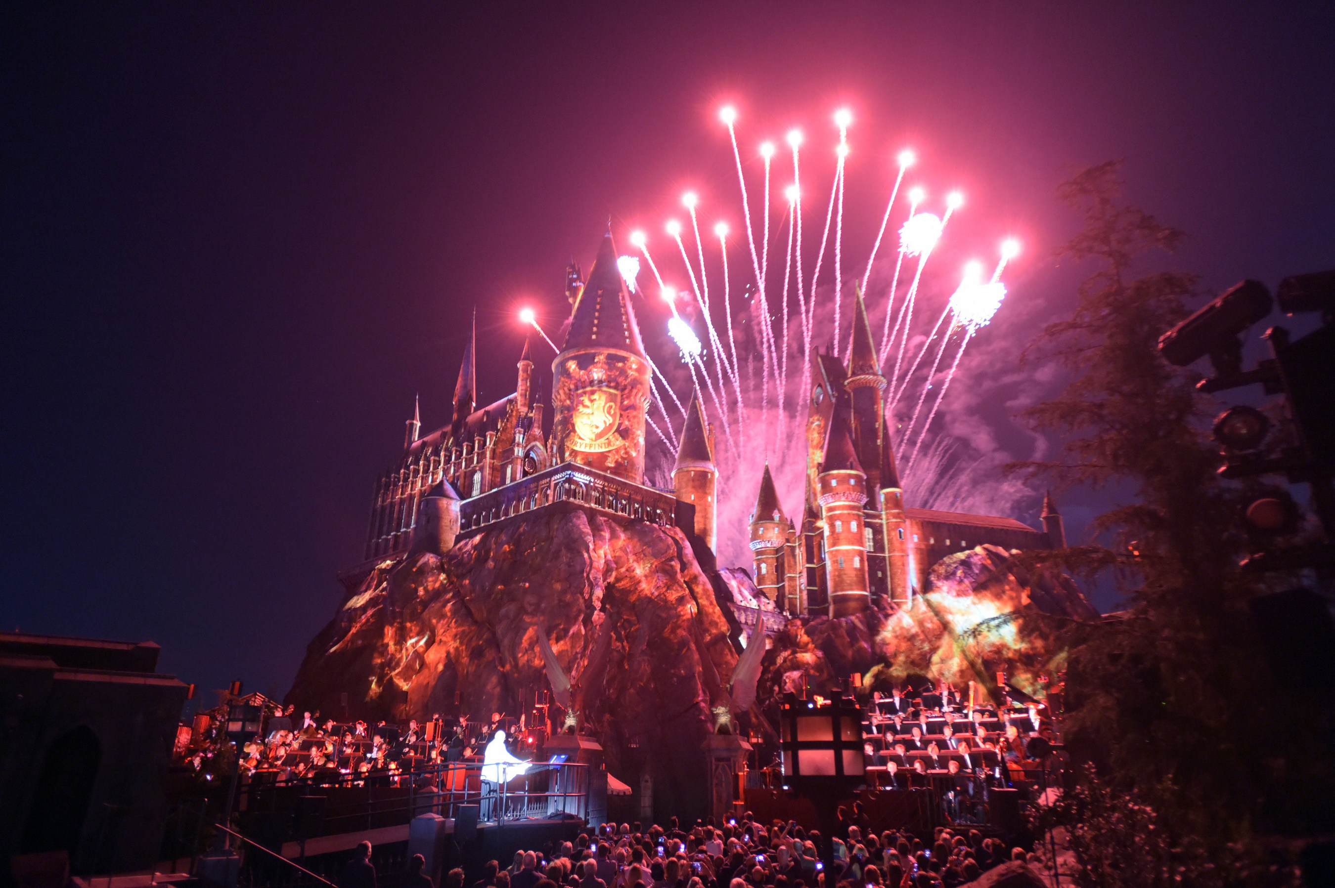 Wizarding world of harry