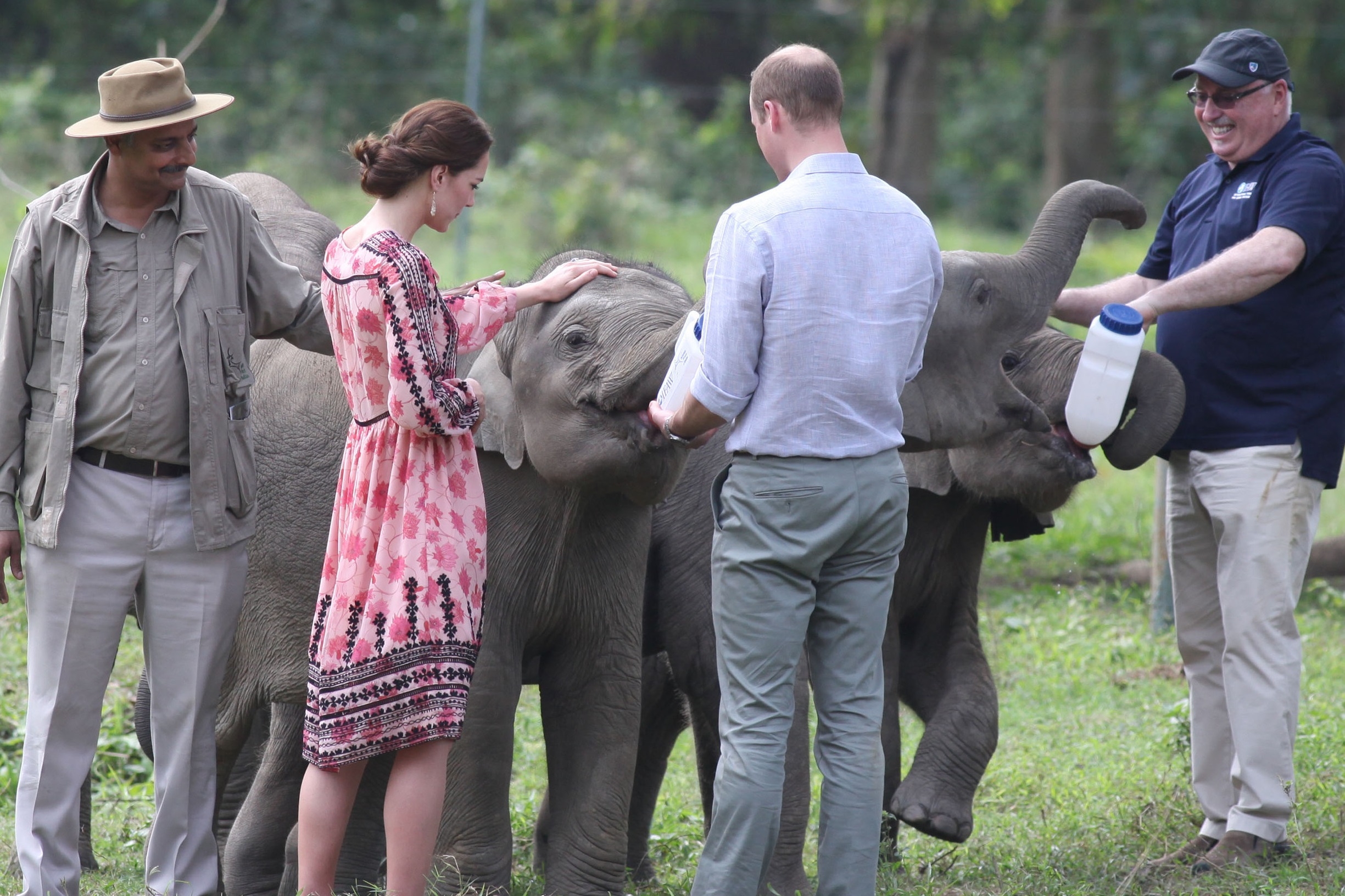  International Fund for Animal Welfare - duke and duchess