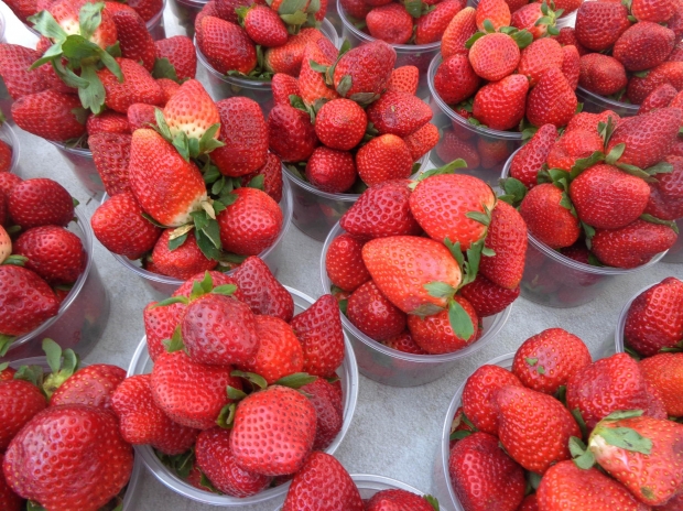 2016 California Strawberry Festival