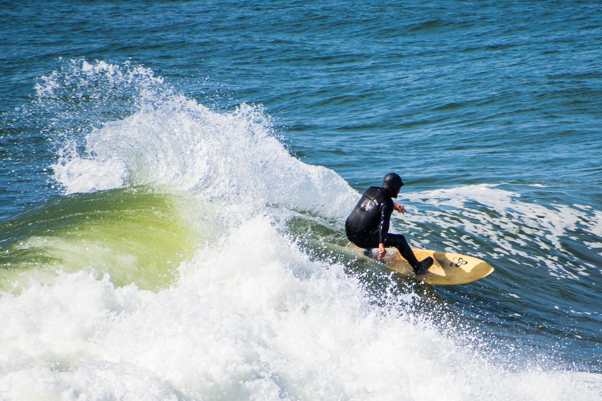 International Surfing Day, Surfrider Foundation