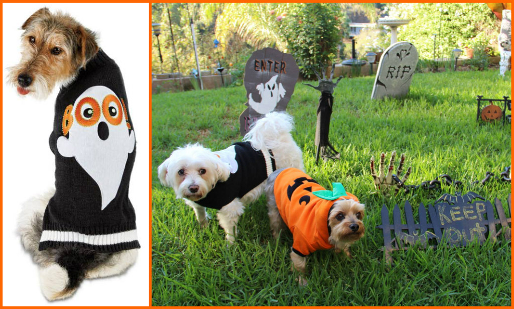 Petco halloween costume story - latf usa