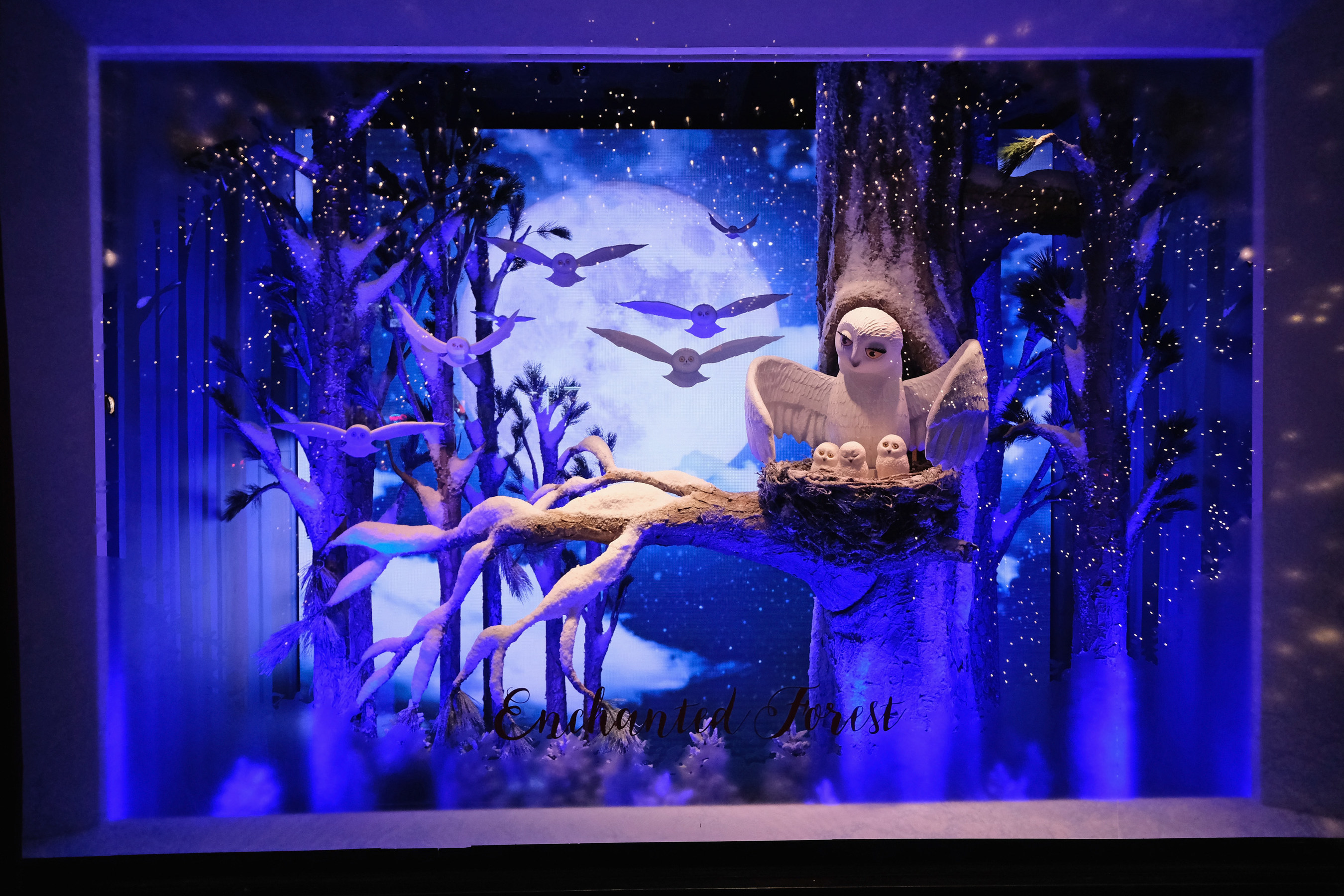 lord & taylor holiday window
