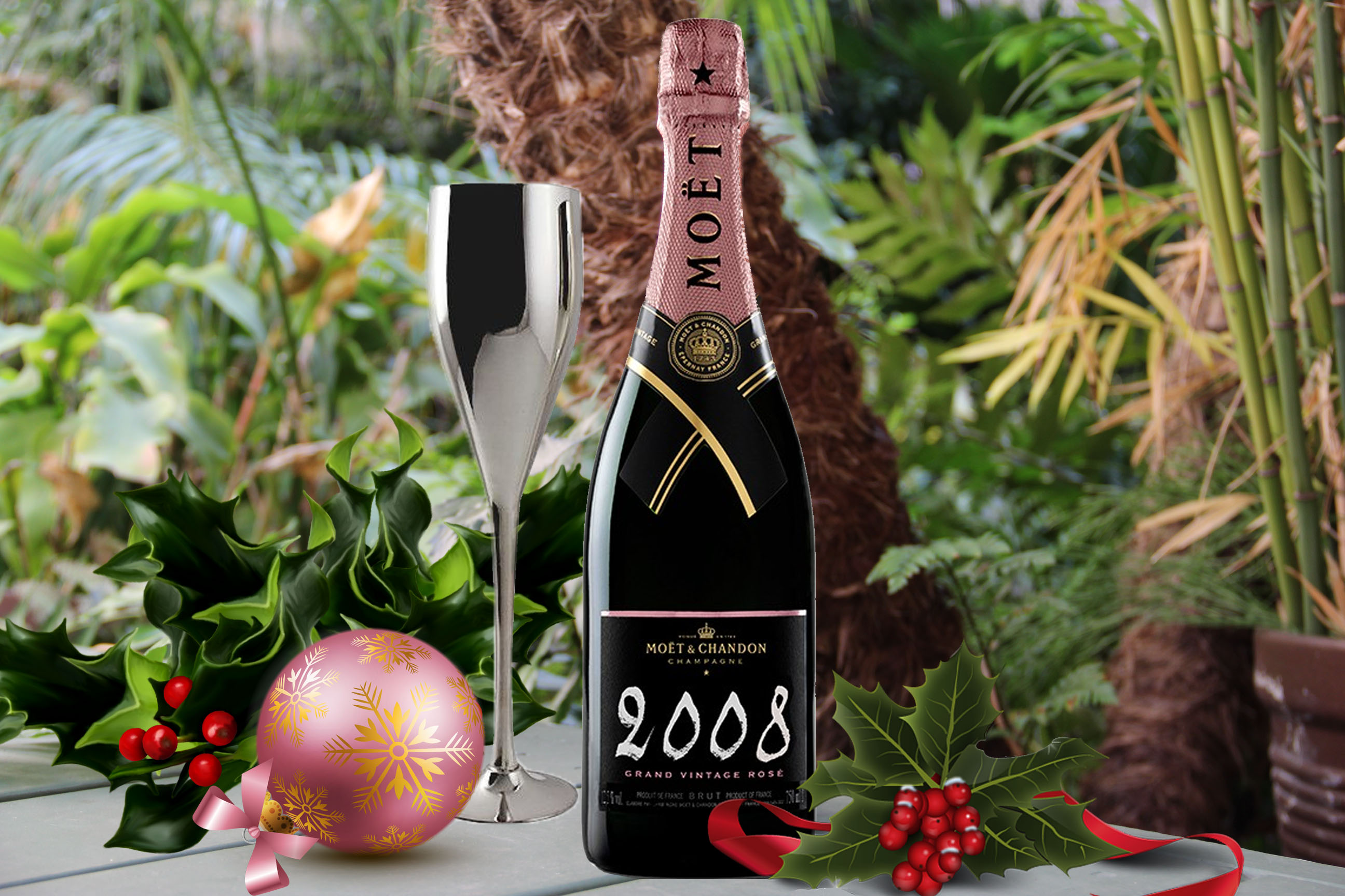 Moet & Chandon champagne for new year's eve