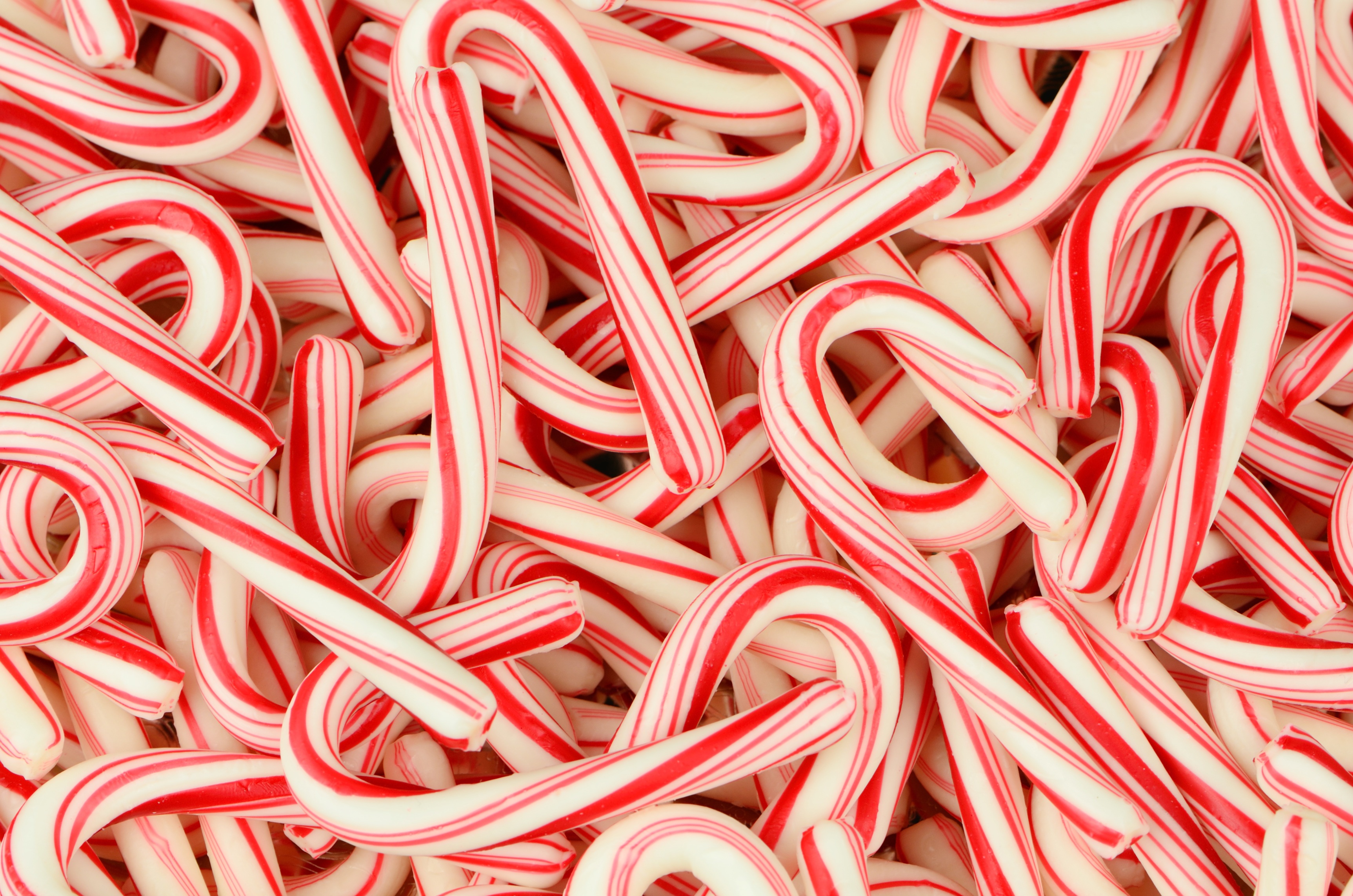 National Candy Cane Day Is The Day After Christmas Yup Latf Usa News