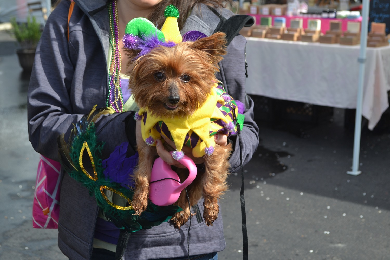 doggie gras, helen woodward animal center