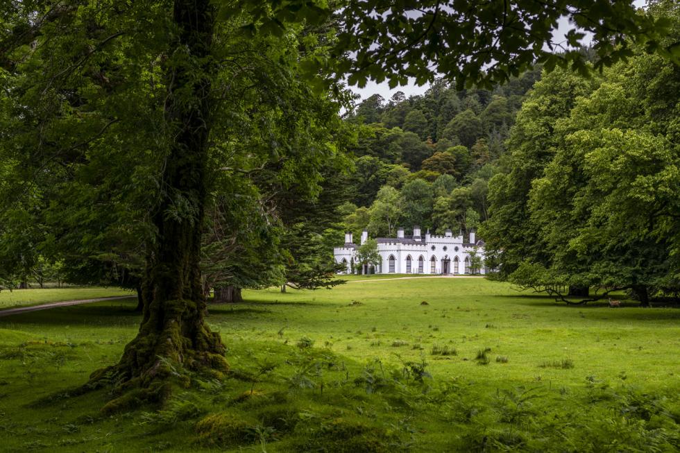 Guinness castle