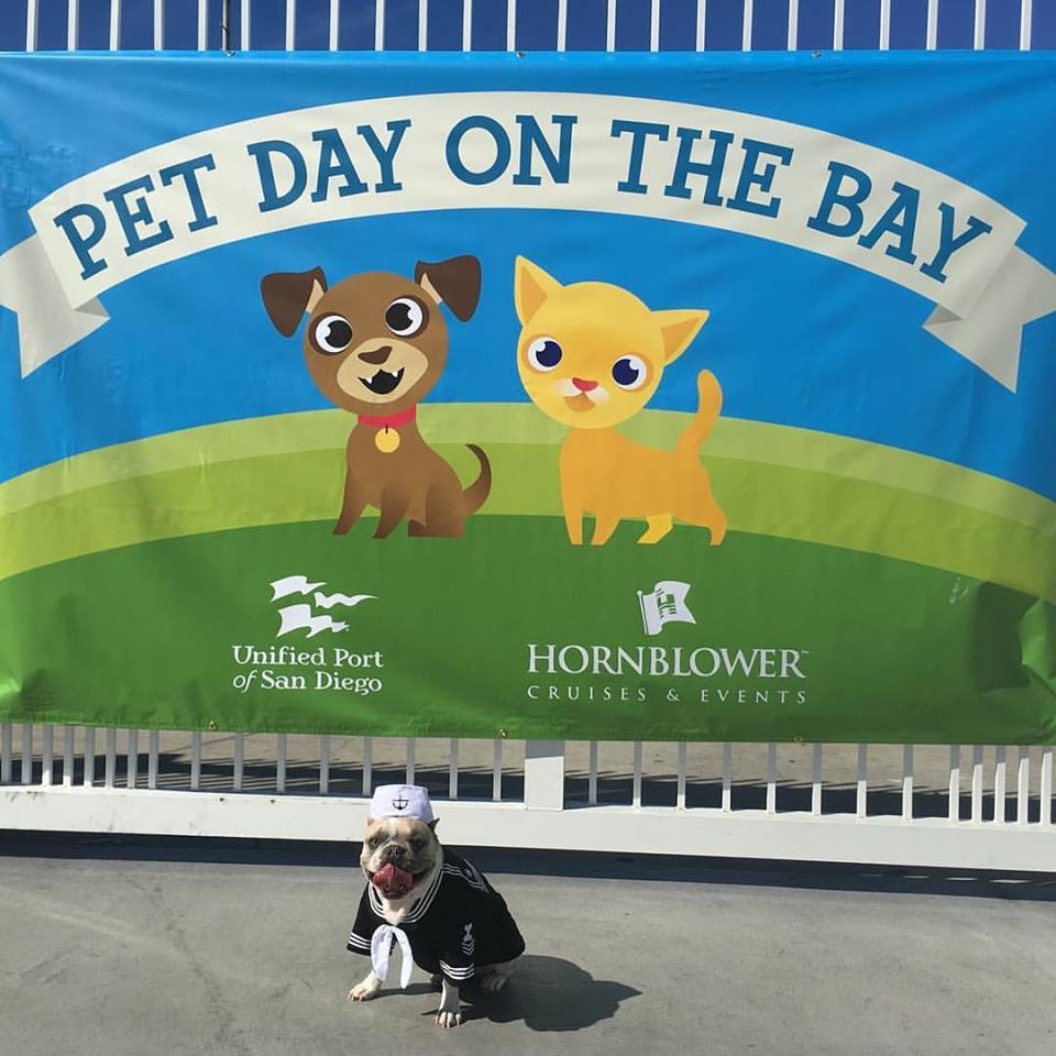 hornblowers pet day