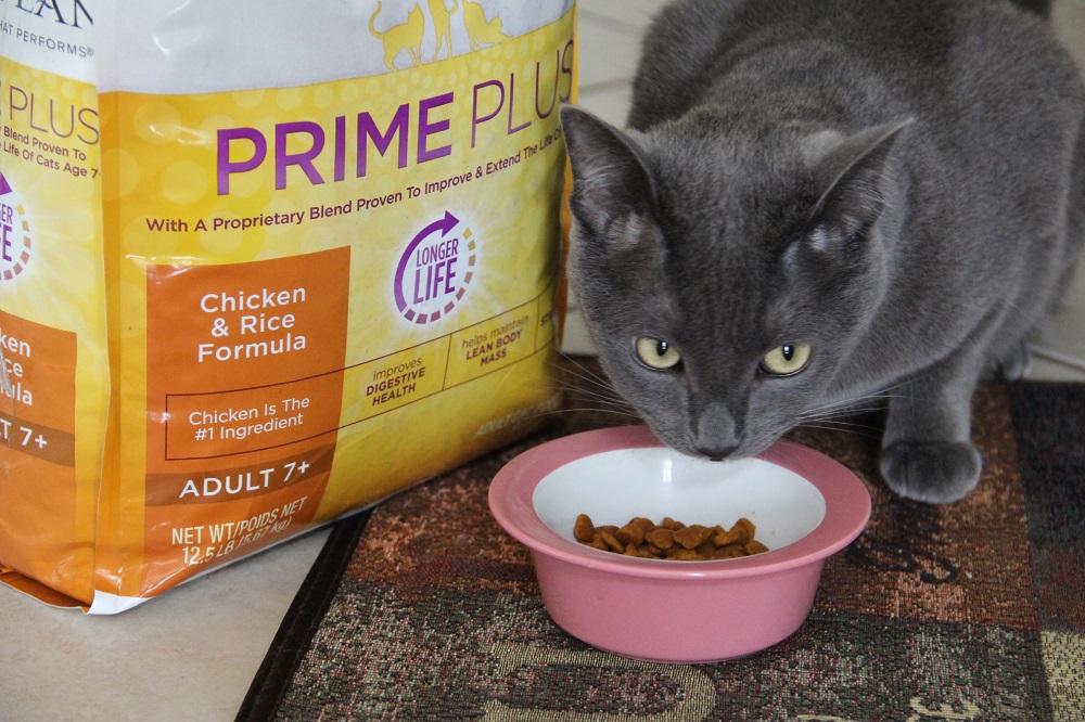 Purina pro prime plus food for cats