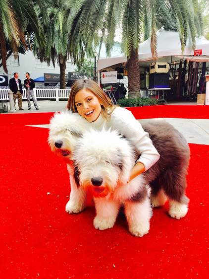 beverly hills dog show