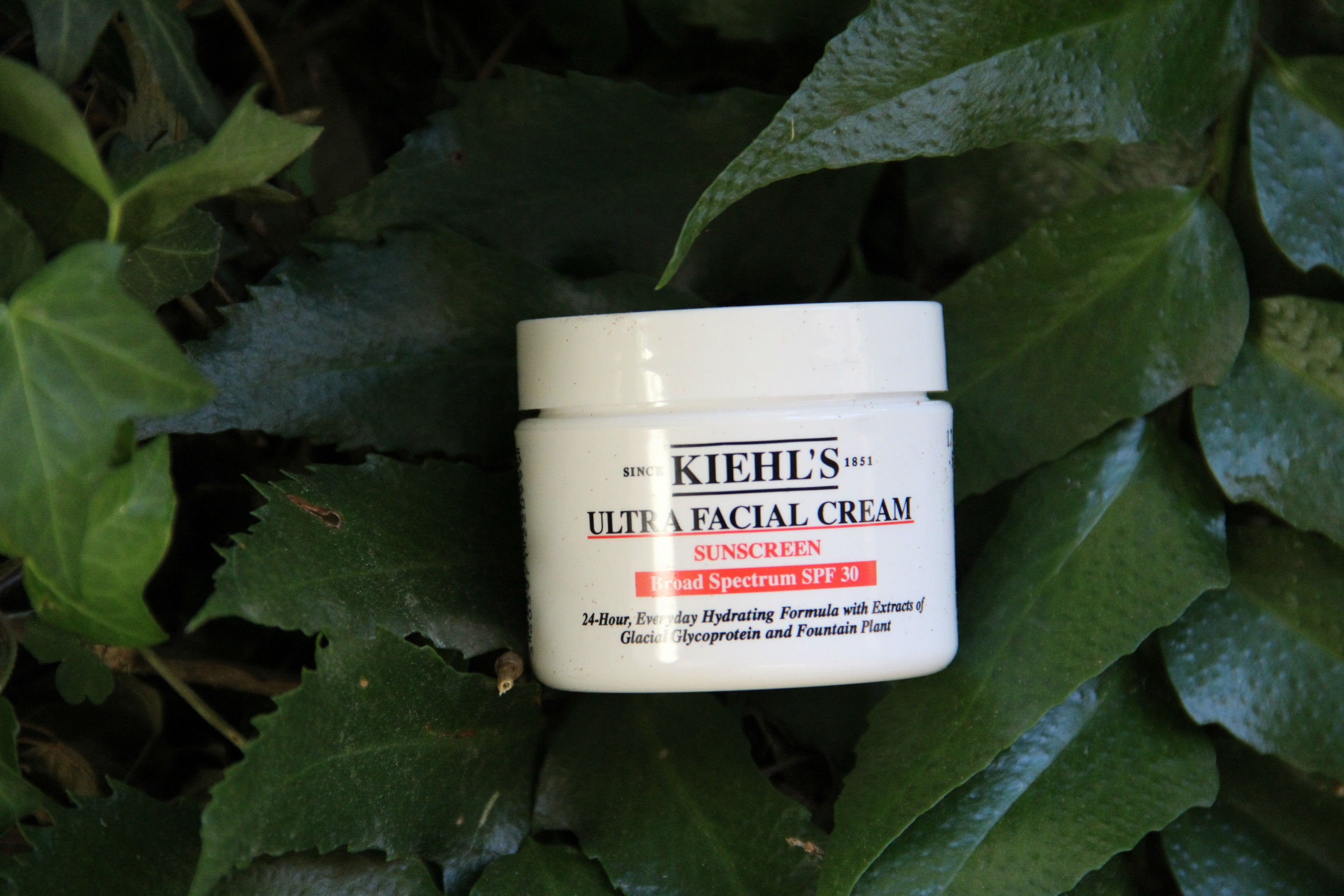 kiehl's ultra facial cream