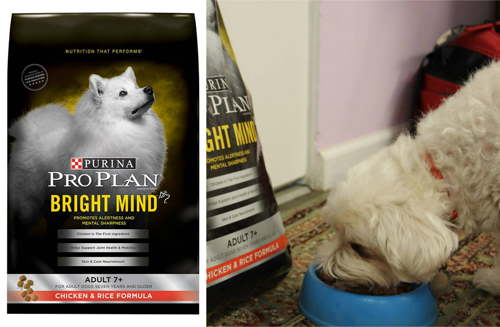 purina pro plan bright mind adult 7+ dog food