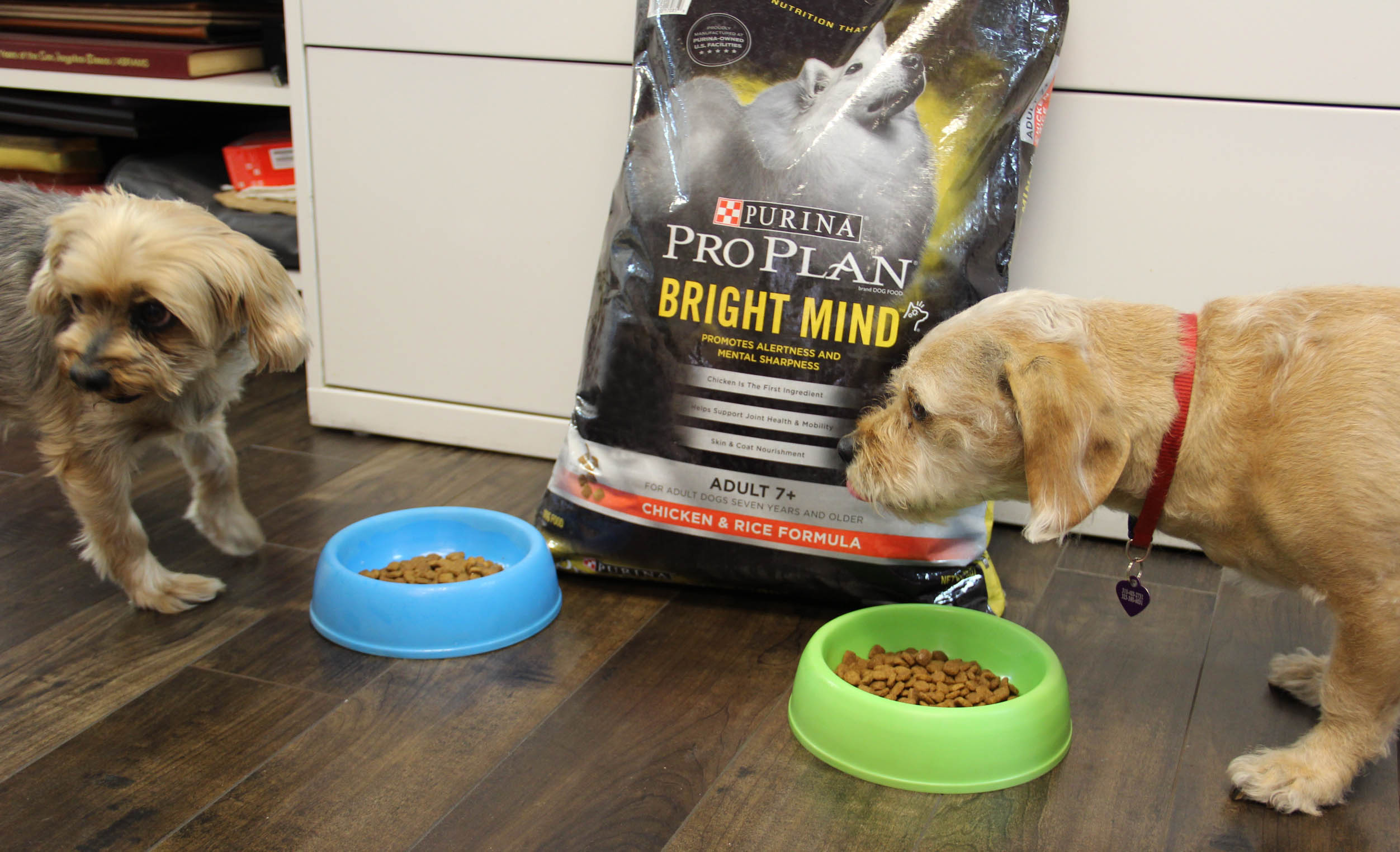 purina pro plan bright mind dog food