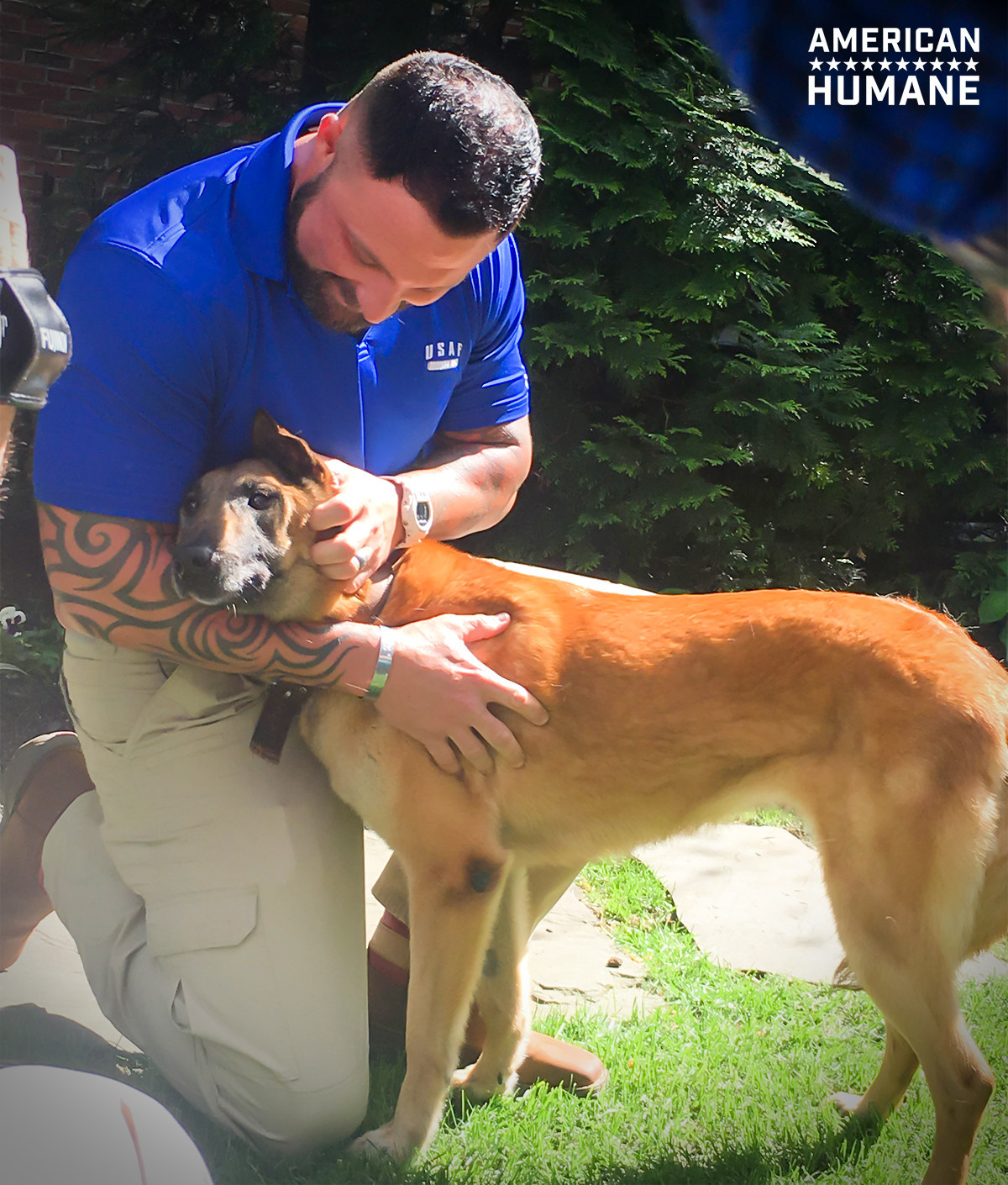 American humane, sergeant adam wylie