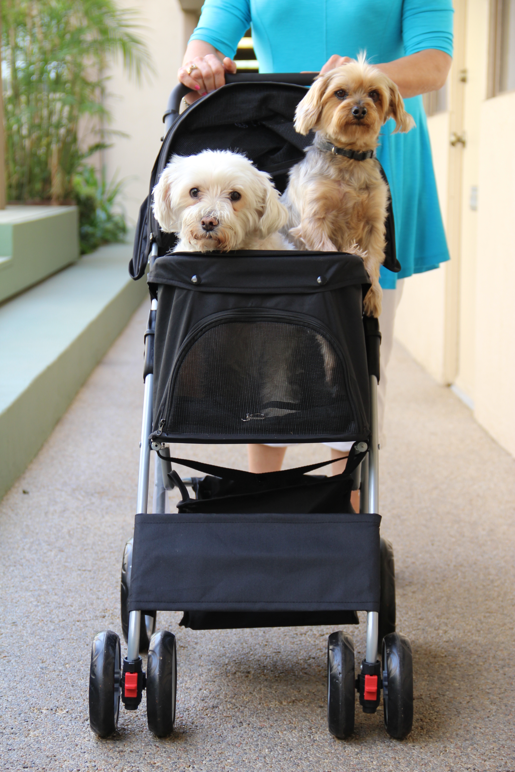 vivo dog stroller