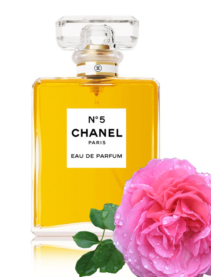 chanel n5 fragrances mother's day
