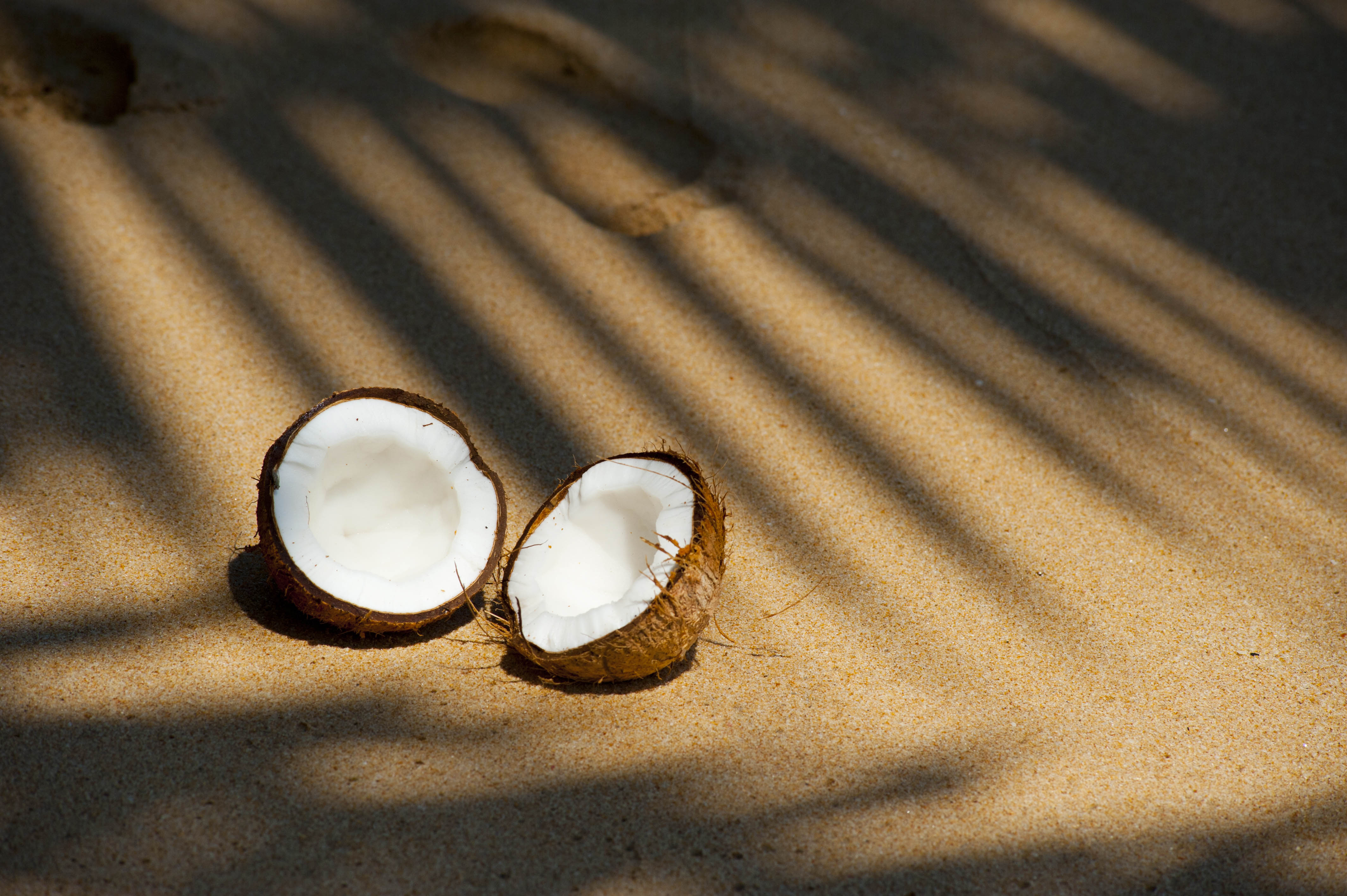 Fresh Coconut