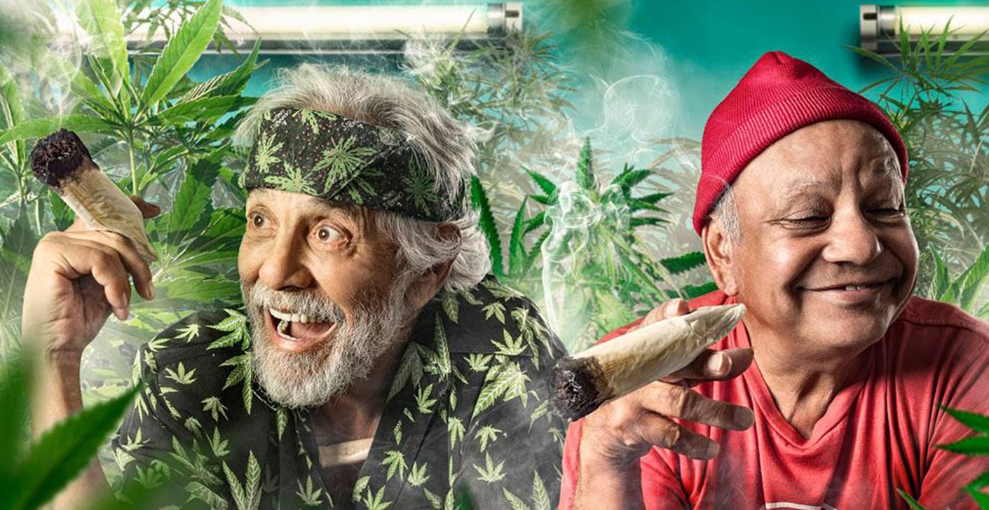 Tommy Chong interview, Lucas Mirabella, cheech & Chong