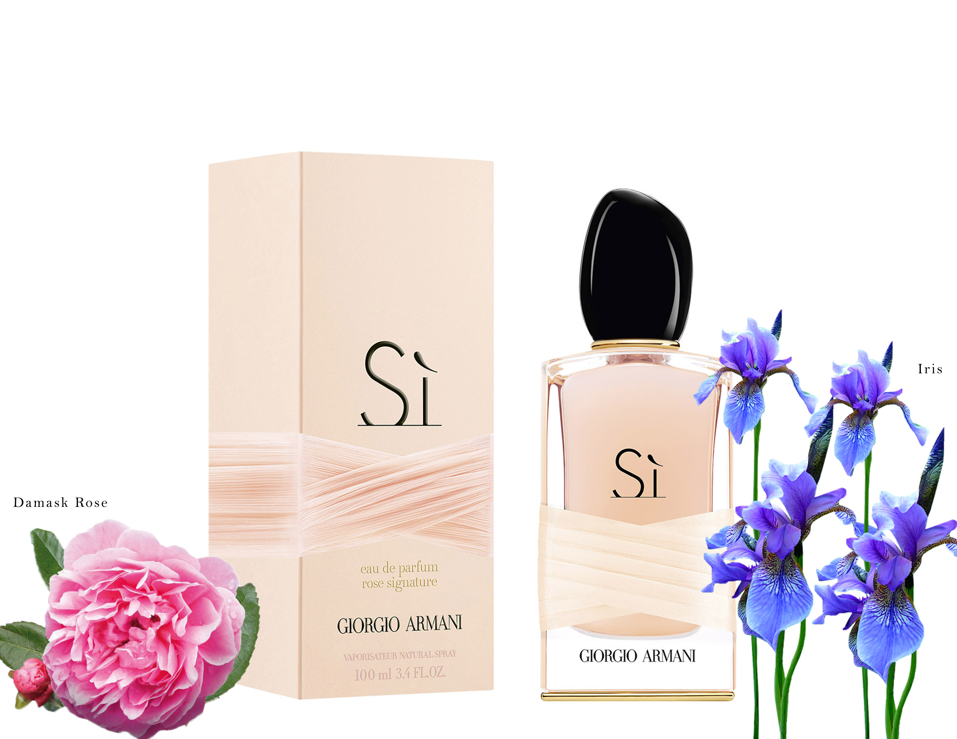 Si Rose Signature Giorgio Armani