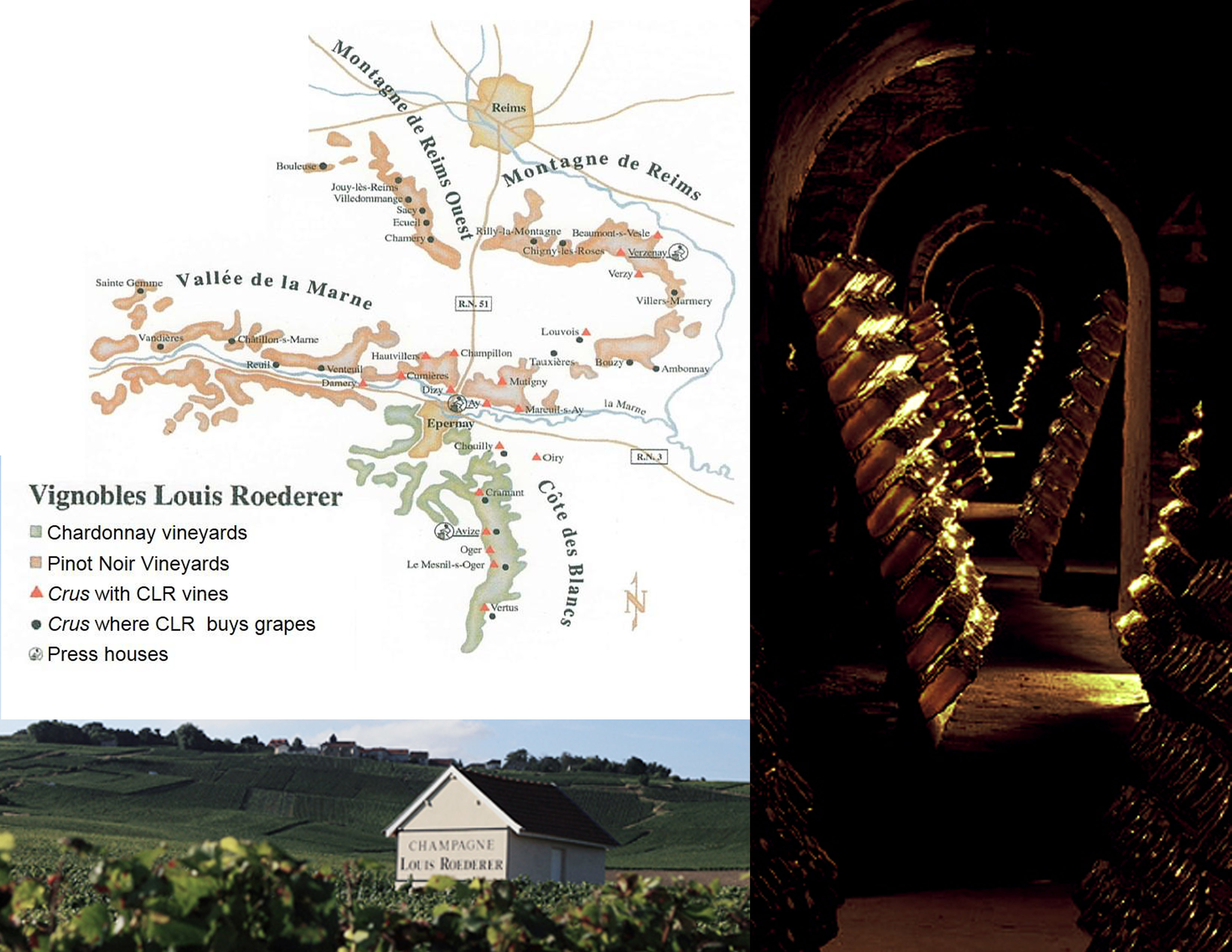 Champagne Louis Roederer Map