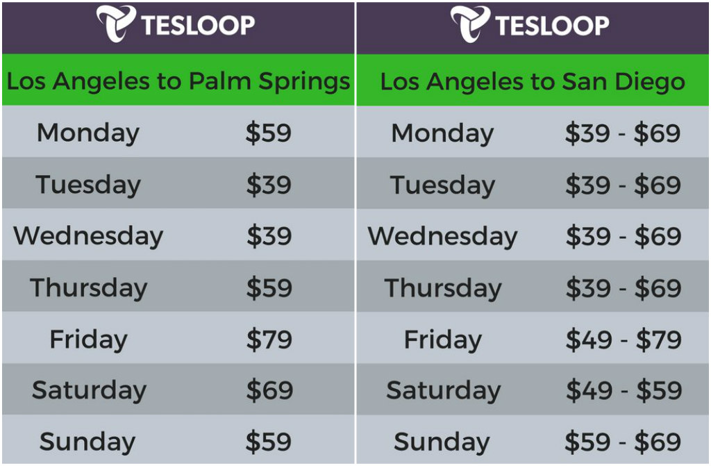 Tesloop travel