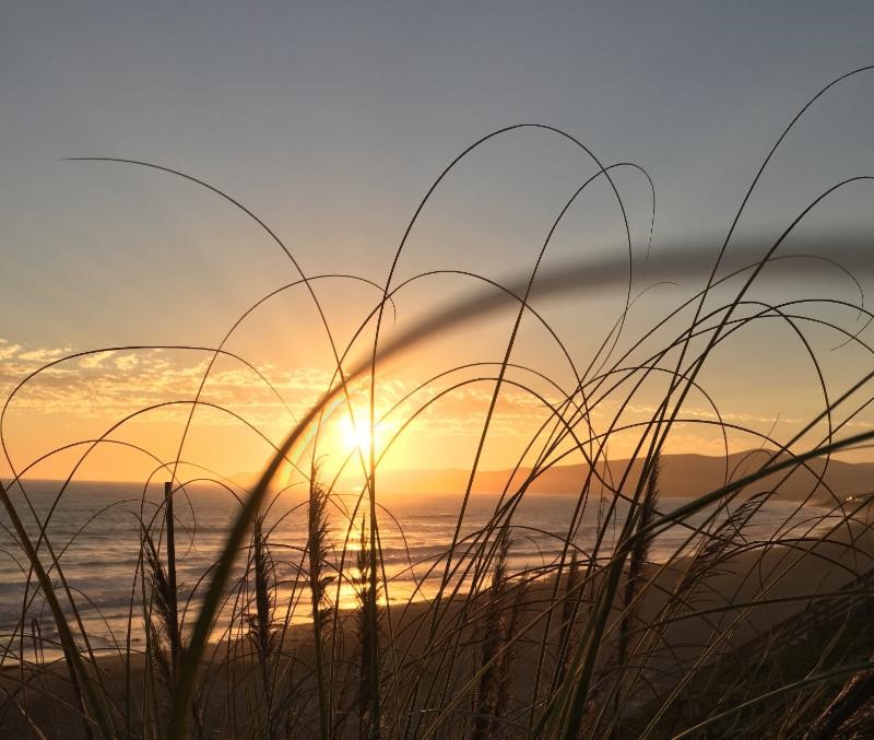 Cayucos State Beach 